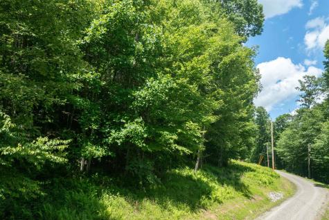 21 Trailwood Circle Bruceton Mills WV 26525