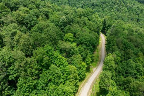 21 Trailwood Circle Bruceton Mills WV 26525