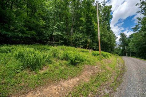 21 Trailwood Circle Bruceton Mills WV 26525