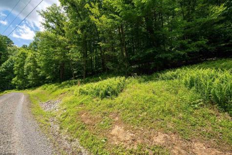 21 Trailwood Circle Bruceton Mills WV 26525