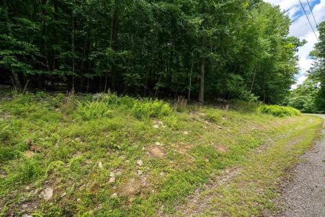 21 Trailwood Circle Bruceton Mills WV 26525