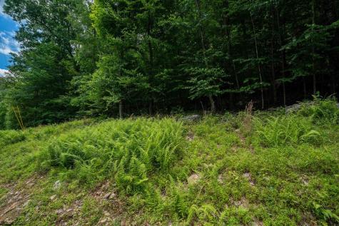 21 Trailwood Circle Bruceton Mills WV 26525