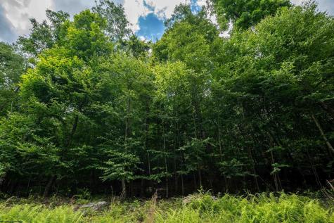 21 Trailwood Circle Bruceton Mills WV 26525