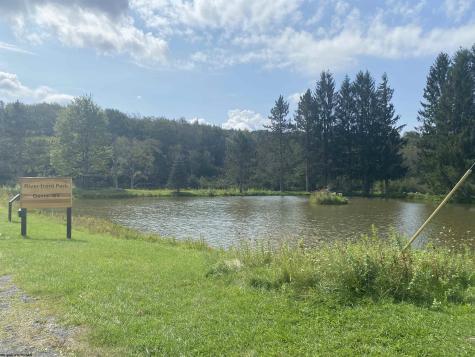 3 7th Street Davis WV 26260