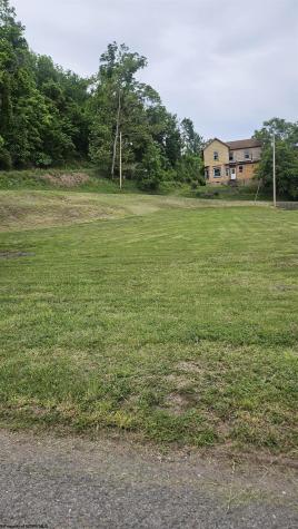 239 Brook Street Weston WV 26452