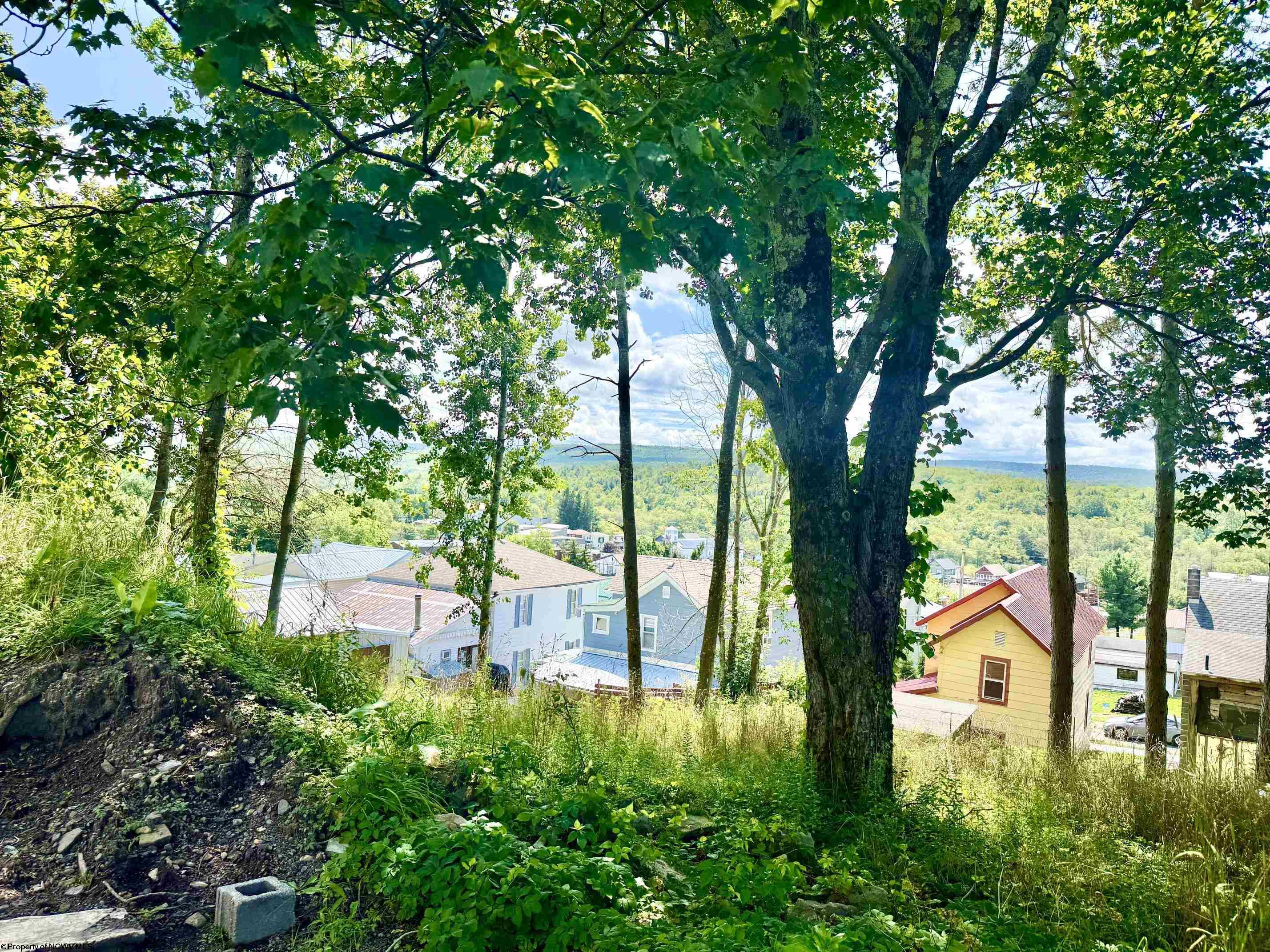 0 5 Groundhog Alley Davis WV 26260-0000