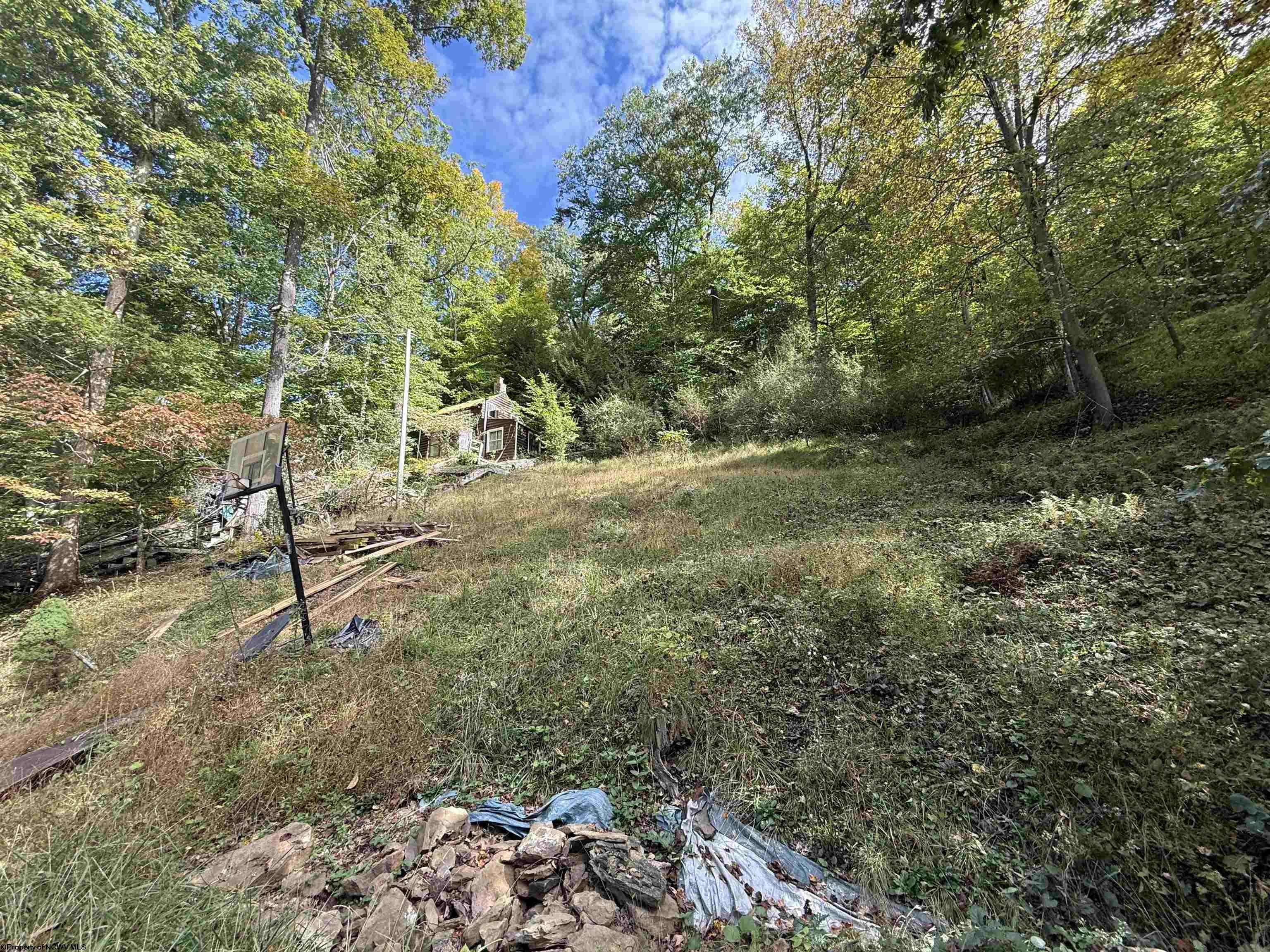 1376 Lake Floyd Circle Bristol WV 26426