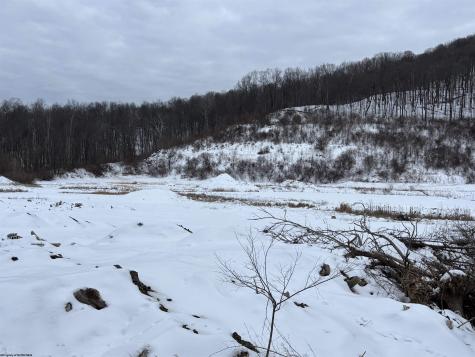 TBD Route 98 (RR) Nutter Fort WV 26301-4360