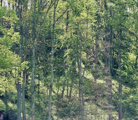 Lot 99 Crystal Lake West Union WV 26456