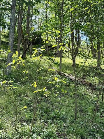 99 Crystal Lake West Union WV 26456