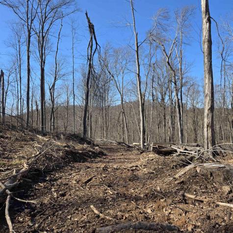 0 Dutch Hollow Road Weston WV 26452