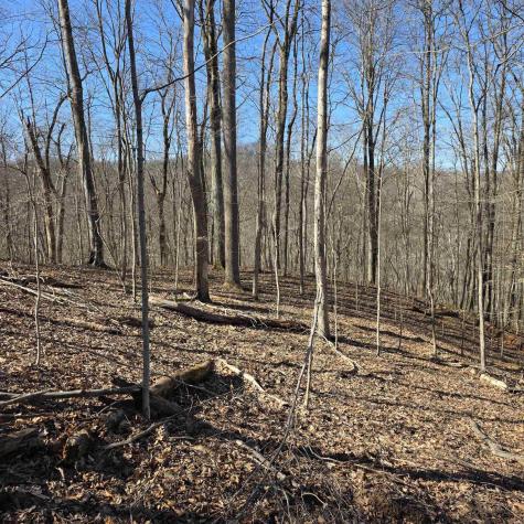 0 Dutch Hollow Road Weston WV 26452