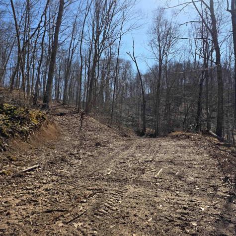0 Dutch Hollow Road Weston WV 26452