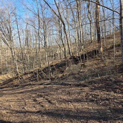 0 Dutch Hollow Road Weston WV 26452