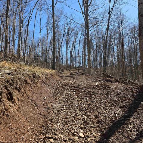 0 Dutch Hollow Road Weston WV 26452