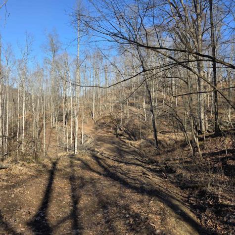 0 Dutch Hollow Road Weston WV 26452