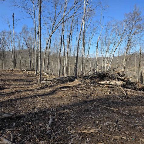 0 Dutch Hollow Road Weston WV 26452