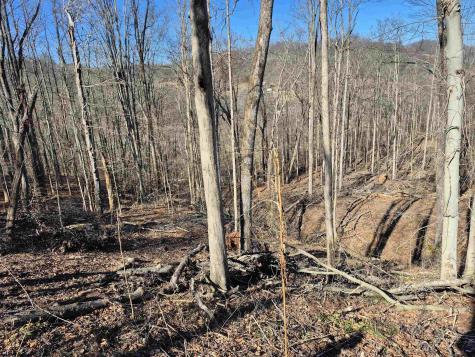 0 Dutch Hollow Road Weston WV 26452
