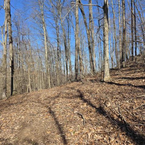 0 Dutch Hollow Road Weston WV 26452