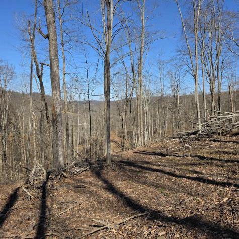 0 Dutch Hollow Road Weston WV 26452