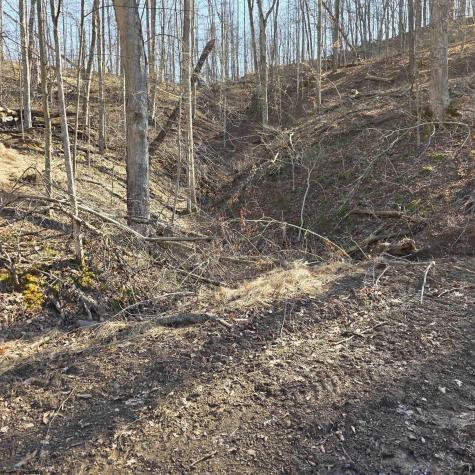 0 Dutch Hollow Road Weston WV 26452