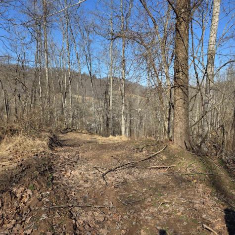 0 Dutch Hollow Road Weston WV 26452