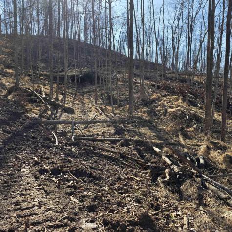 0 Dutch Hollow Road Weston WV 26452