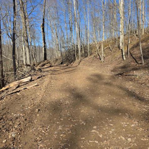 0 Dutch Hollow Road Weston WV 26452
