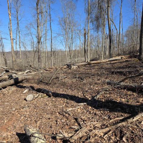 0 Dutch Hollow Road Weston WV 26452