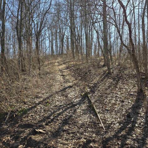 0 Dutch Hollow Road Weston WV 26452