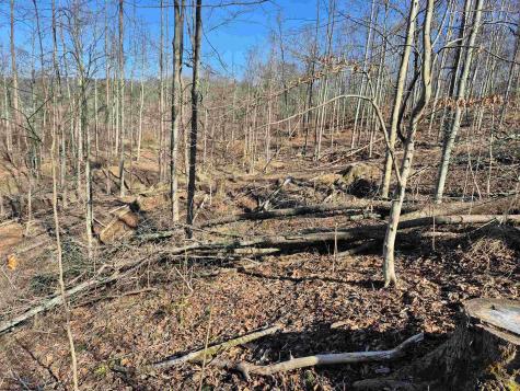 0 Dutch Hollow Road Weston WV 26452