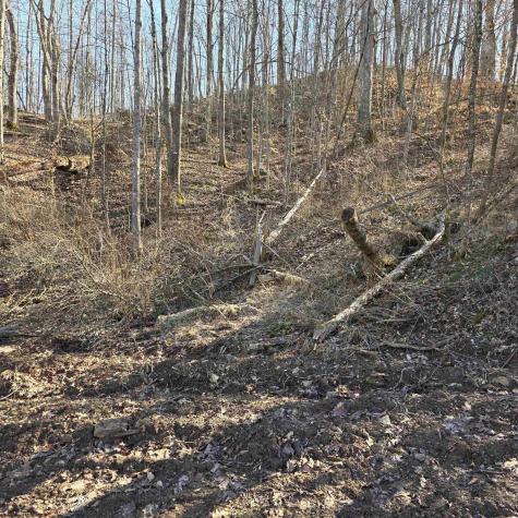 0 Dutch Hollow Road Weston WV 26452