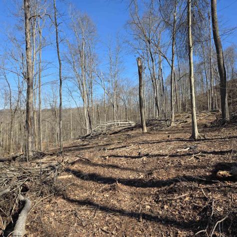 0 Dutch Hollow Road Weston WV 26452