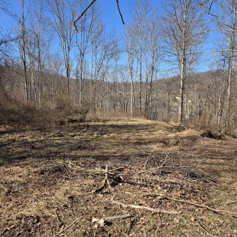 0 Dutch Hollow Road Weston WV 26452