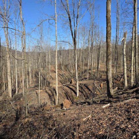0 Dutch Hollow Road Weston WV 26452