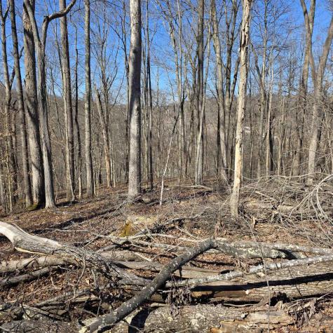 0 Dutch Hollow Road Weston WV 26452