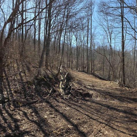 0 Dutch Hollow Road Weston WV 26452