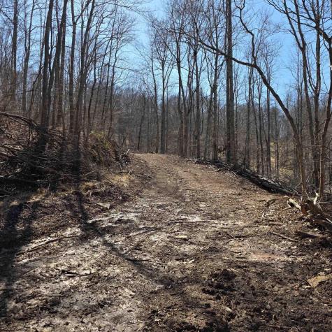 0 Dutch Hollow Road Weston WV 26452