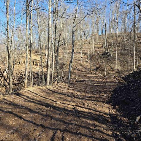 0 Dutch Hollow Road Weston WV 26452