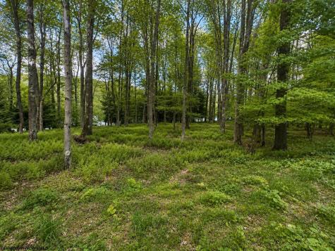 175 Laurel Circle Terra Alta WV 26764