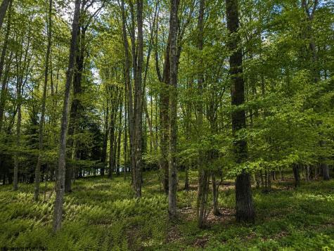 175 Laurel Circle Terra Alta WV 26764