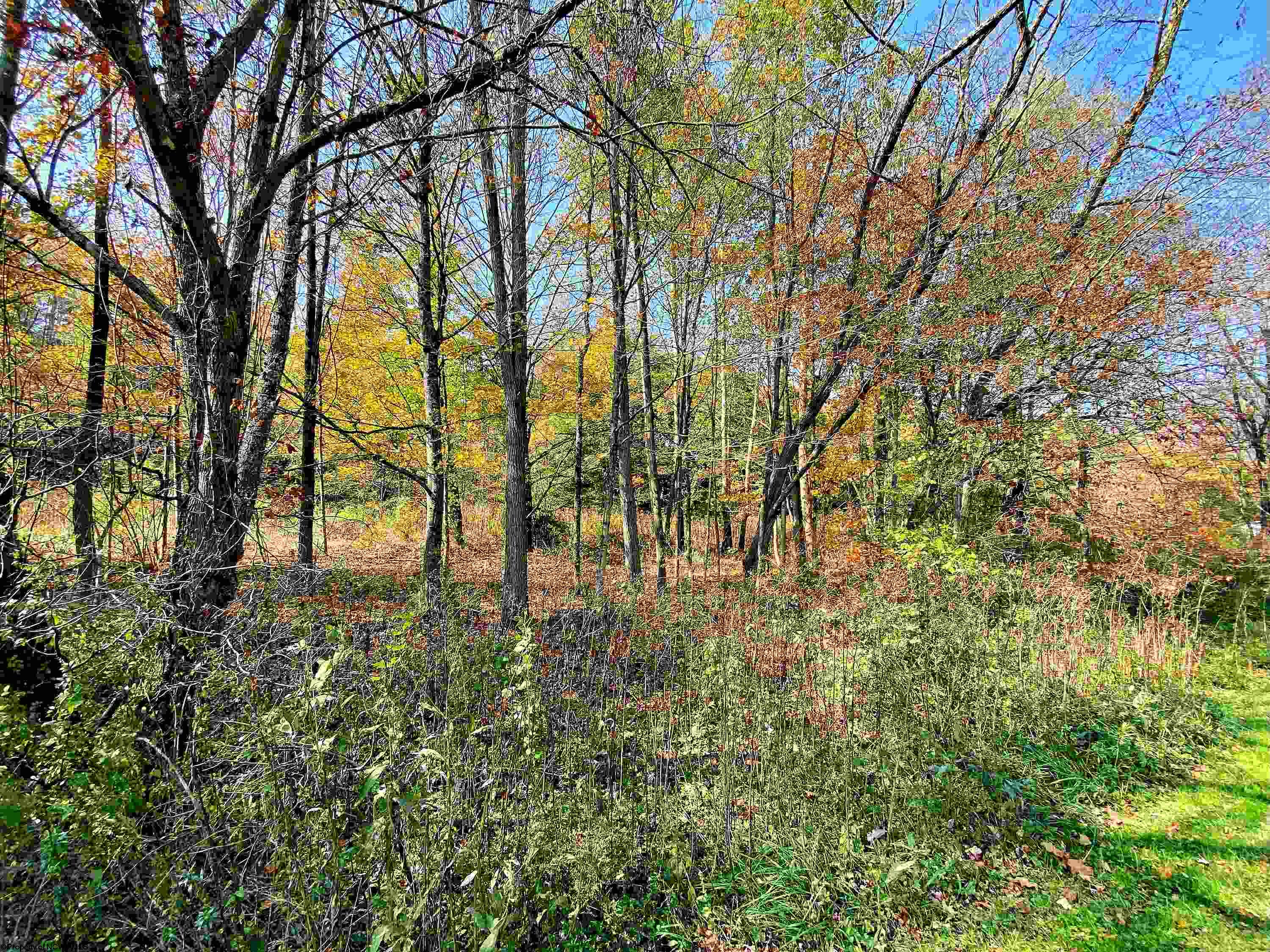 3 Blizzards Gate Road Harman WV 26270