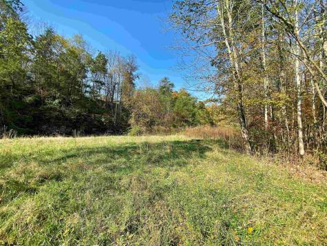 3 Blizzards Gate Road Harman WV 26270