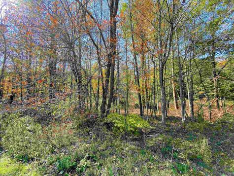 3 Blizzards Gate Road Harman WV 26270