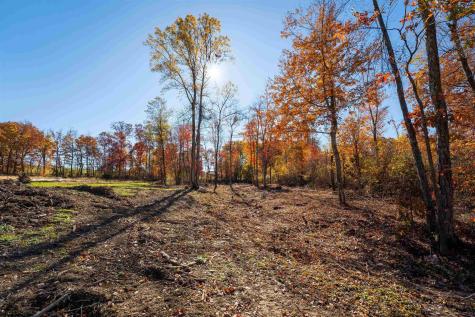 10 Poplar Ridge Bruceton Mills WV 26525