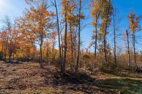 10 Poplar Ridge Bruceton Mills WV 26525