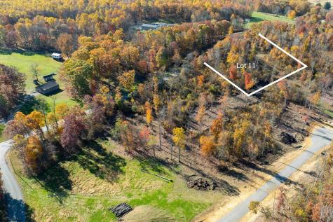 10 Poplar Ridge Bruceton Mills WV 26525