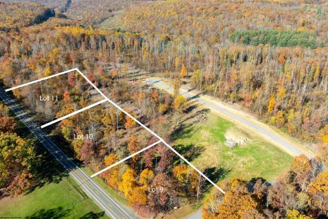 10 Poplar Ridge Bruceton Mills WV 26525