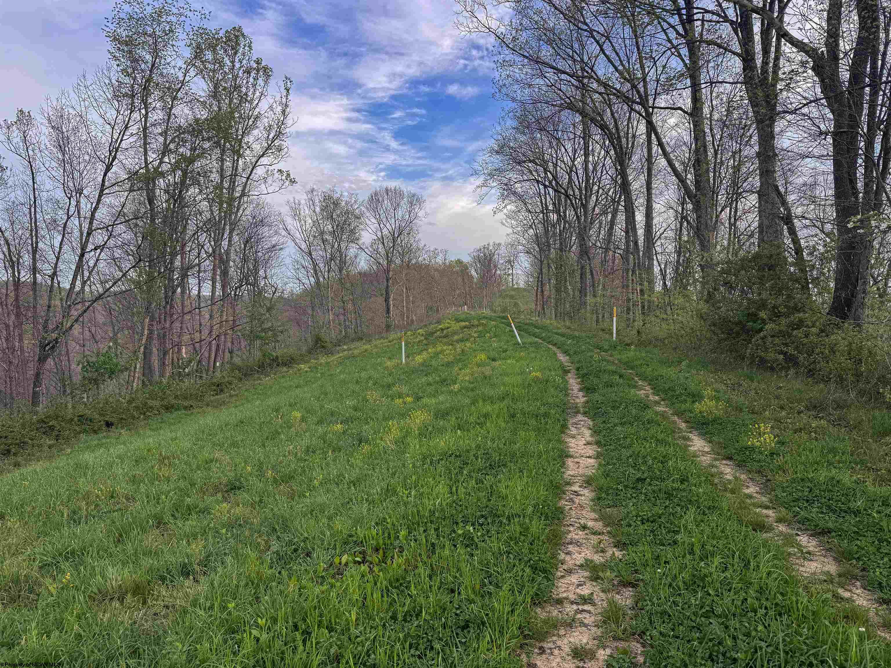 1 Low Gap Run Road Littleton WV 26581