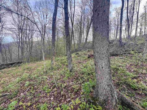 1 Low Gap Run Road Littleton WV 26581